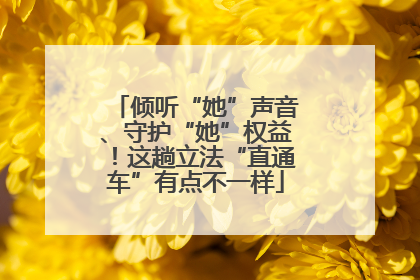 倾听“她”声音、守护“她”权益！这趟立法“直通车”有点不一样