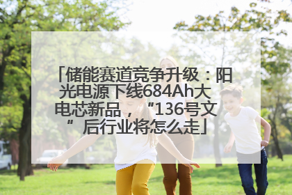 储能赛道竞争升级：阳光电源下线684Ah大电芯新品，“136号文”后行业将怎么走