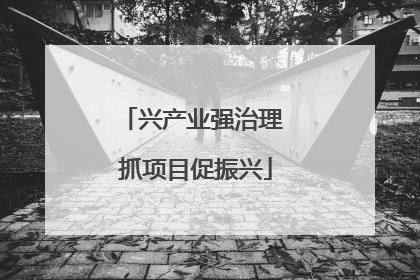 兴产业强治理 抓项目促振兴