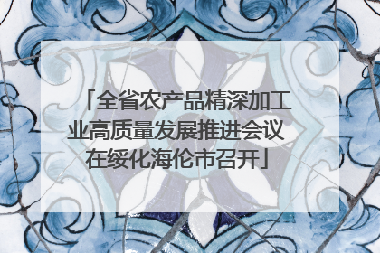 全省农产品精深加工业高质量发展推进会议在绥化海伦市召开