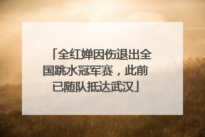 全红婵因伤退出全国跳水冠军赛，此前已随队抵达武汉