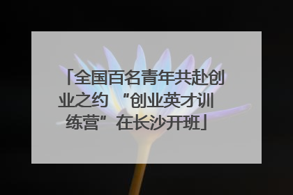 全国百名青年共赴创业之约 “创业英才训练营”在长沙开班