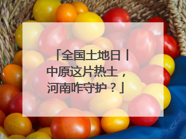 全国土地日丨中原这片热土，河南咋守护？