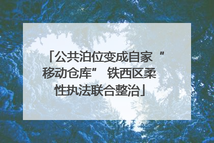 公共泊位变成自家“移动仓库” 铁西区柔性执法联合整治