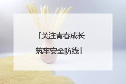 关注青春成长 筑牢安全防线