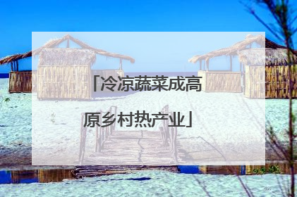冷凉蔬菜成高原乡村热产业