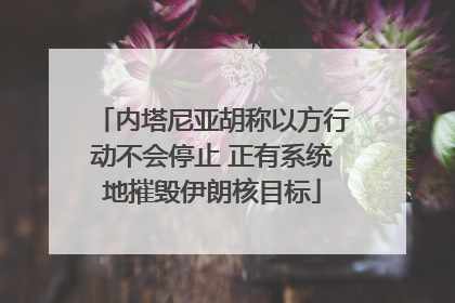 内塔尼亚胡称以方行动不会停止 正有系统地摧毁伊朗核目标