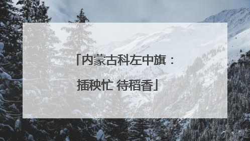 内蒙古科左中旗：插秧忙 待稻香