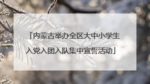 内蒙古举办全区大中小学生入党入团入队集中宣誓活动