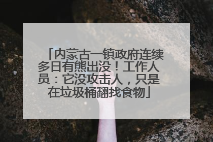 内蒙古一镇政府连续多日有熊出没！工作人员：它没攻击人，只是在垃圾桶翻找食物
