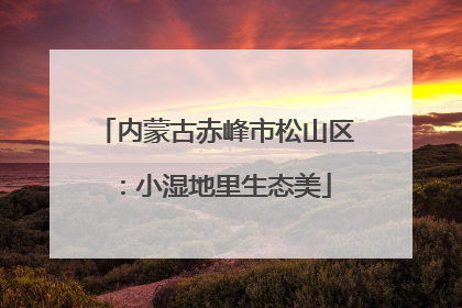 内蒙古赤峰市松山区：小湿地里生态美