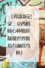 再添新记录，京西稻核心种植区频现世界极危与濒危鸟种