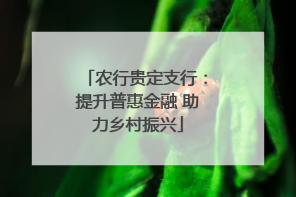 农行贵定支行：提升普惠金融 助力乡村振兴