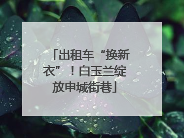 出租车“换新衣”！白玉兰绽放申城街巷