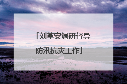 刘革安调研督导防汛抗灾工作
