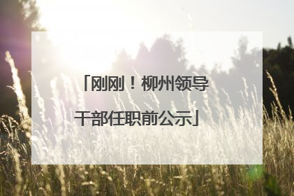 刚刚！柳州领导干部任职前公示