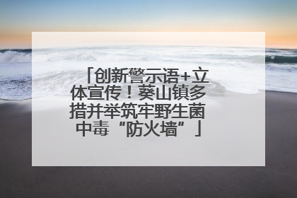 创新警示语+立体宣传！葵山镇多措并举筑牢野生菌中毒“防火墙”