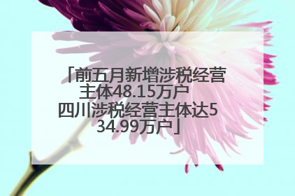 前五月新增涉税经营主体48.15万户 四川涉税经营主体达534.99万户