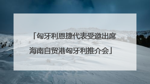 匈牙利恩捷代表受邀出席海南自贸港匈牙利推介会