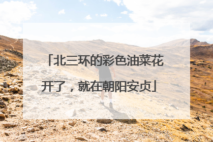 北三环的彩色油菜花开了，就在朝阳安贞