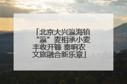 北京大兴瀛海镇“瀛”麦相承小麦丰收开镰 奏响农文旅融合新乐章