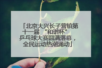 北京大兴长子营镇第十一届 “和谐杯” 乒乓球大赛圆满落幕，全民运动热潮涌动