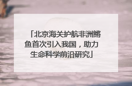 北京海关护航非洲鳉鱼首次引入我国，助力生命科学前沿研究