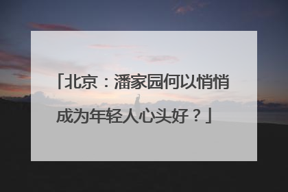 北京：潘家园何以悄悄成为年轻人心头好？