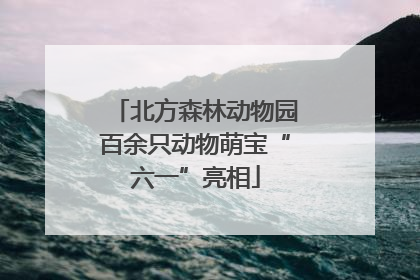 北方森林动物园百余只动物萌宝“六一”亮相