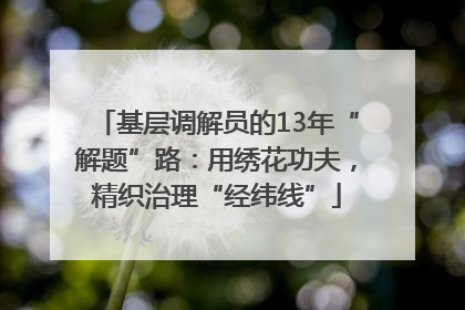 基层调解员的13年“解题”路：用绣花功夫，精织治理“经纬线”