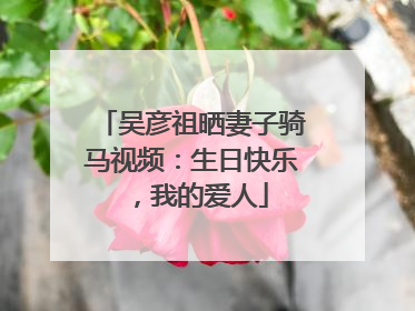 吴彦祖晒妻子骑马视频：生日快乐，我的爱人