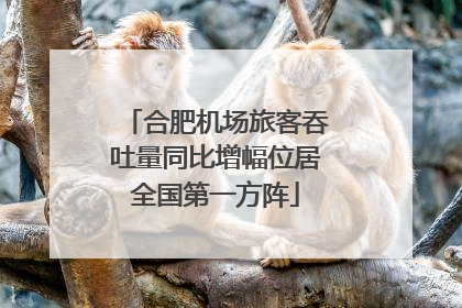 合肥机场旅客吞吐量同比增幅位居全国第一方阵