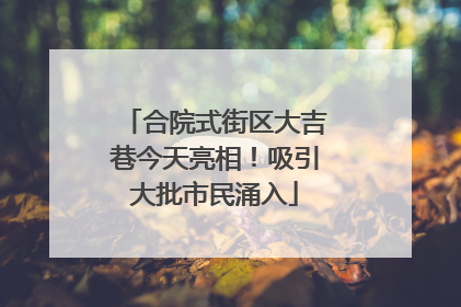 合院式街区大吉巷今天亮相！吸引大批市民涌入
