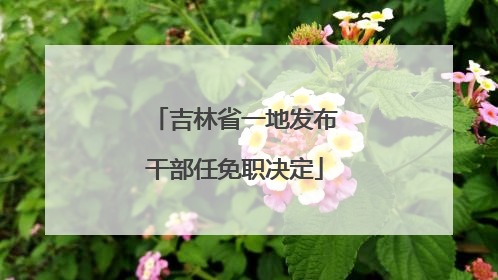 吉林省一地发布干部任免职决定