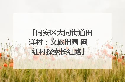 同安区大同街道田洋村：文旅出圈 网红村探索长红路