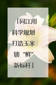 同江用科学规划打造玉米锁“鲜”新标杆