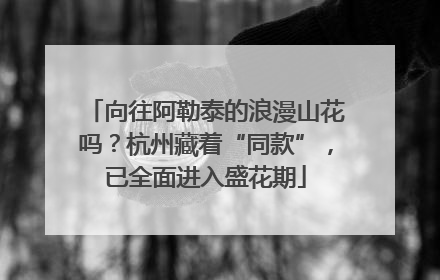 向往阿勒泰的浪漫山花吗？杭州藏着“同款”，已全面进入盛花期