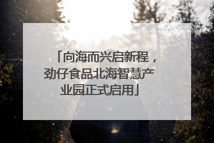 向海而兴启新程，劲仔食品北海智慧产业园正式启用