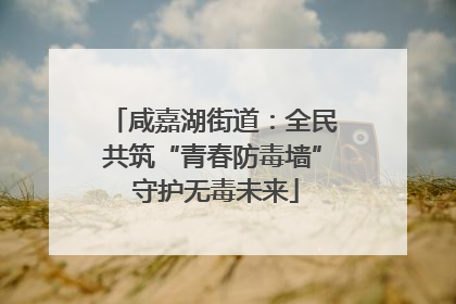 咸嘉湖街道：全民共筑“青春防毒墙” 守护无毒未来