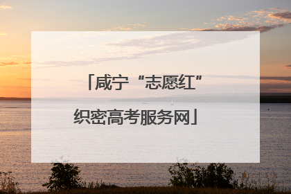 咸宁“志愿红”织密高考服务网