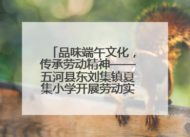 品味端午文化，传承劳动精神——五河县东刘集镇夏集小学开展劳动实践教育活动