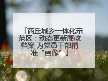 商丘城乡一体化示范区：动态更新廉政档案 为党员干部精准“画像”