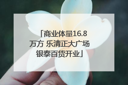 商业体量16.8万方 乐清正大广场银泰百货开业