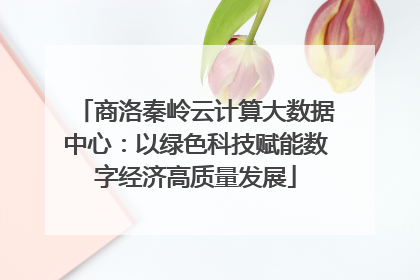商洛秦岭云计算大数据中心：以绿色科技赋能数字经济高质量发展
