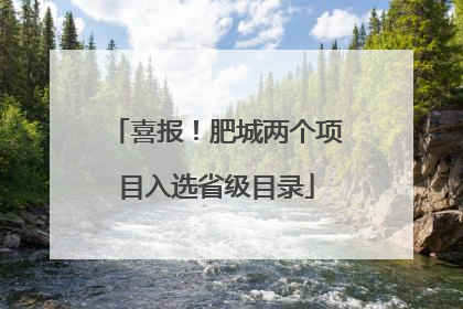 喜报！肥城两个项目入选省级目录