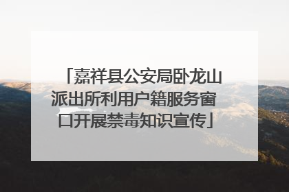 嘉祥县公安局卧龙山派出所利用户籍服务窗口开展禁毒知识宣传