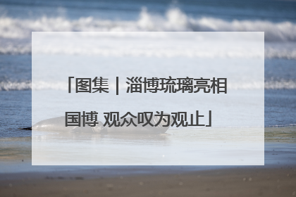 图集｜淄博琉璃亮相国博 观众叹为观止