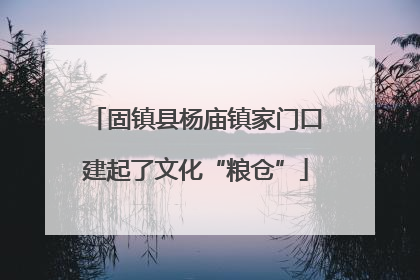 固镇县杨庙镇家门口建起了文化“粮仓”