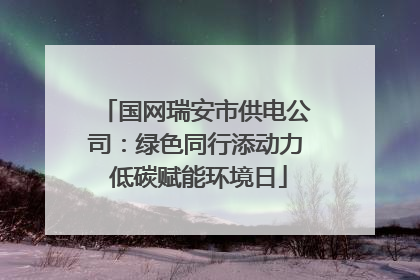 国网瑞安市供电公司：绿色同行添动力 低碳赋能环境日