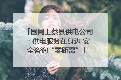 国网上蔡县供电公司：供电服务在身边 安全咨询“零距离”